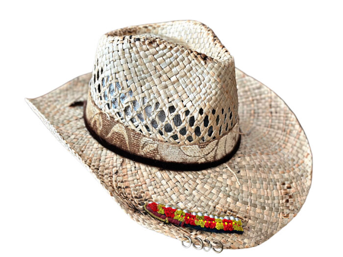 Sombrero Mekong - Imagen 2